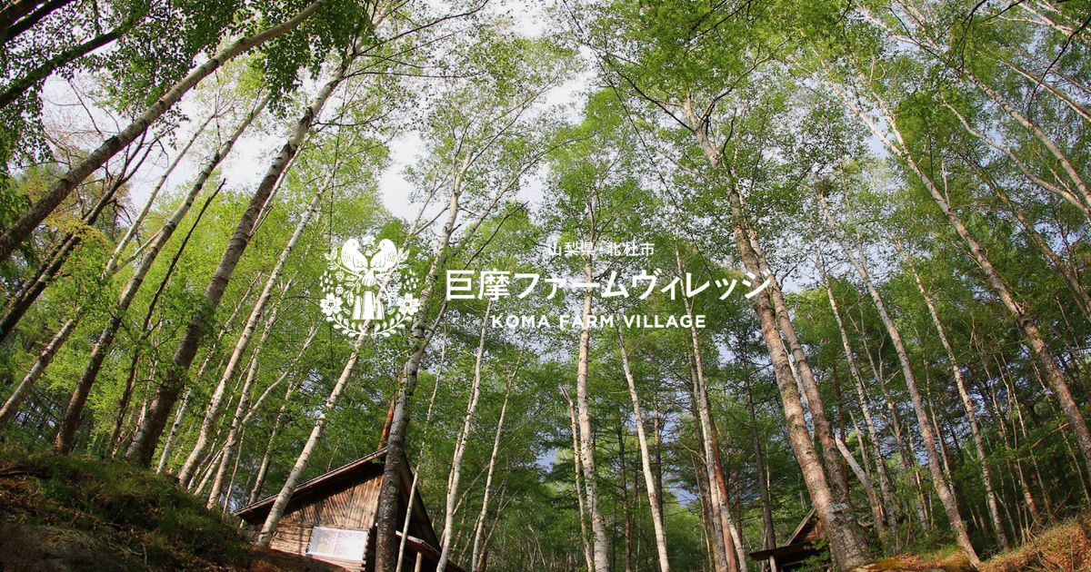 山梨県のキャンプ場「みずがき山森の農園キャンプ場」